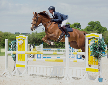 Harry Bateman heads the SEIB Winter Novice Qualifier at Addington Manor Equestrian Centre